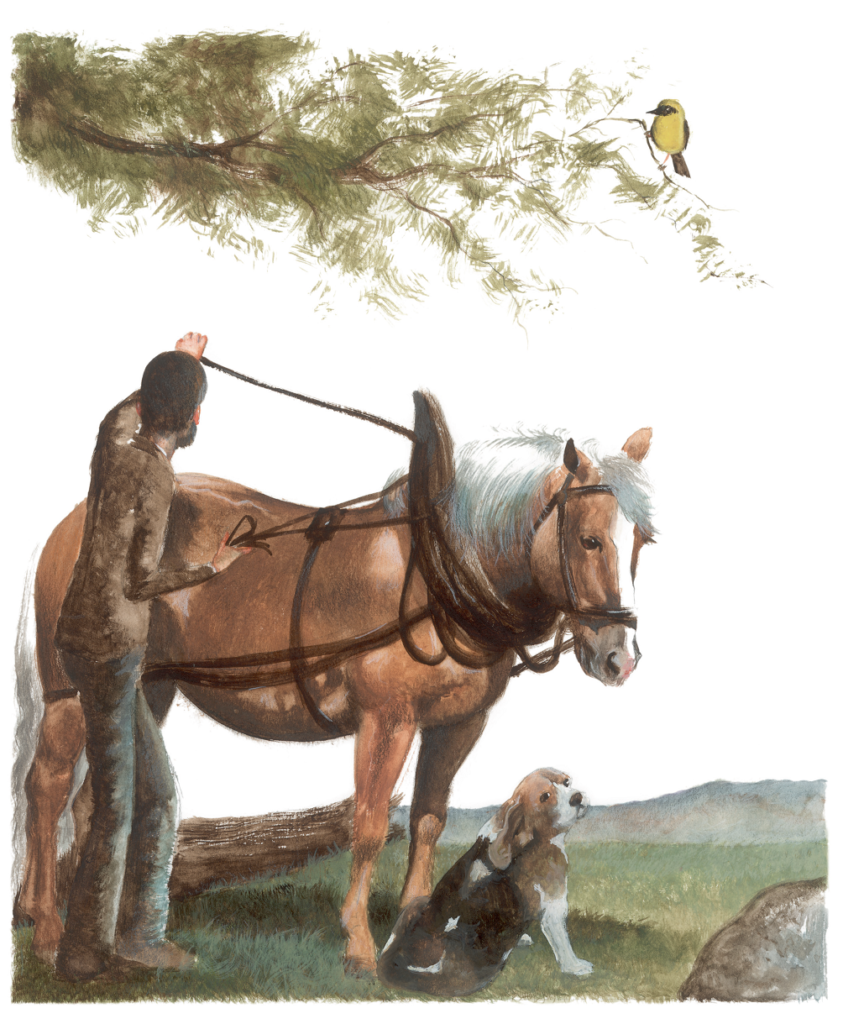 Homem no campo, com cavalo e cachorro. O artesão, página 6. Imagem ilustrativa texto desenhistas.