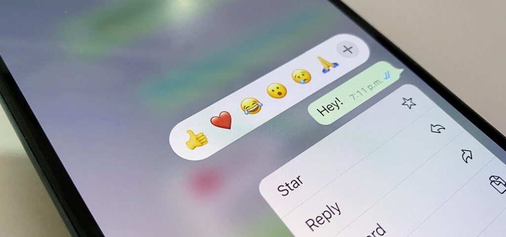 Conversa de WhatsApp com emoji. Imagem ilustrativa texto linguagens do dia a dia.